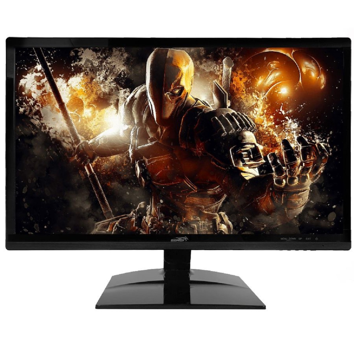 Monitor Led 22