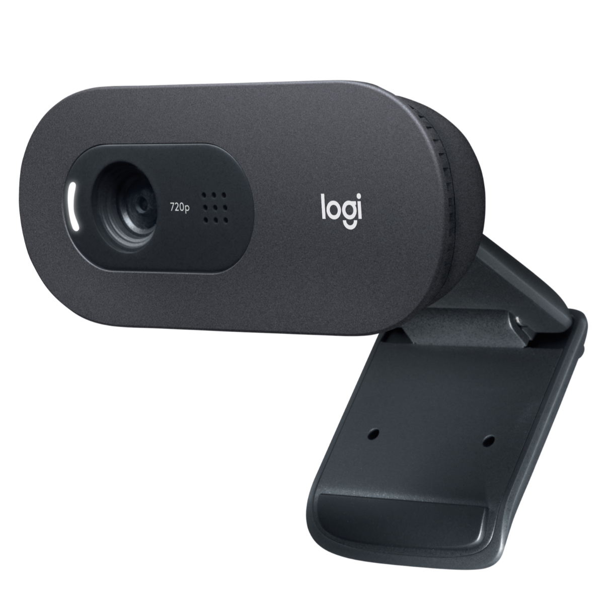 Webcam HD C505 Logitech