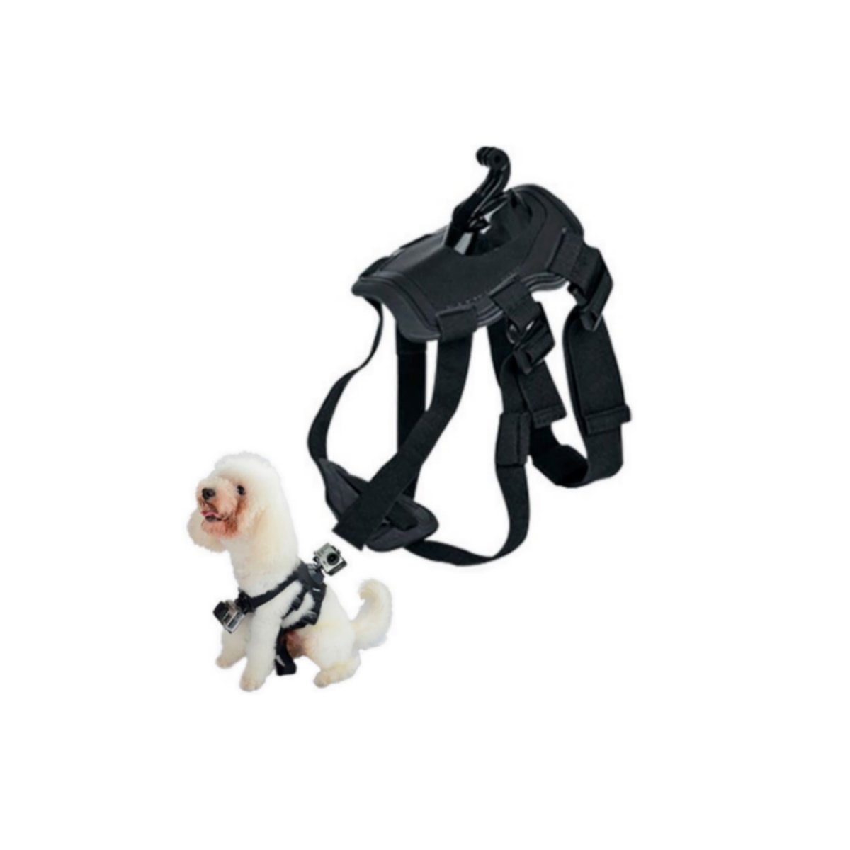 Arnes Canino Camara Deportiva Ns-gma Nisuta