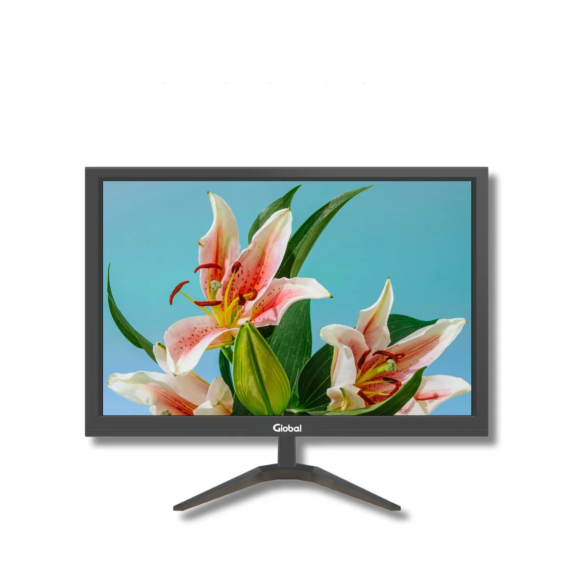 Computadora Celeron J4005 - 8Gb - SSD 240Gb - Monitor 22